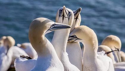 新国都POS机售后电话？