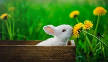 锦弘霖POS机售后电话多少？