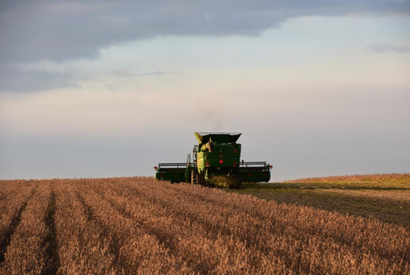 粮食不断增产，我们为什么还要强调“保障粮食供给”